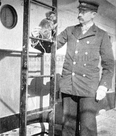 Freight Clerk and monkey on the White Star Line steamship Gaelic (2) at Yokohama 1898