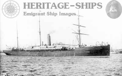 Pavonia, Cunard Line steamship