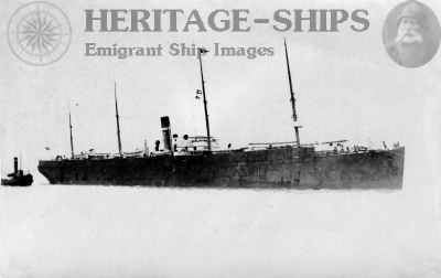 Turcoman, Dominion Line steamship