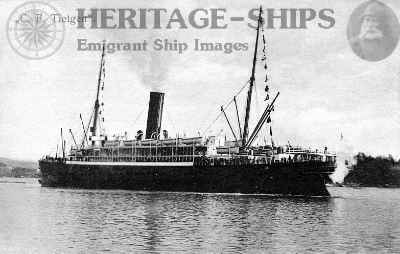 C. F. Tietgen, Scandinavian America Line steamship