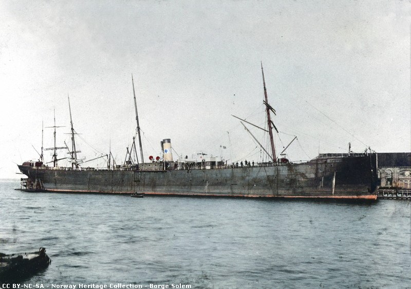 S.S. Danmark, Thingvalla Line steamship