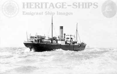 Argo (2), Wilson Line steamship