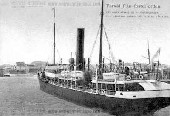 Ariosto (1), Wilson Line steamship