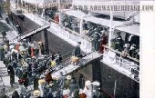 Emigrants boarding a Wilson Line steamship