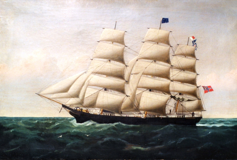 Bark Argonaut