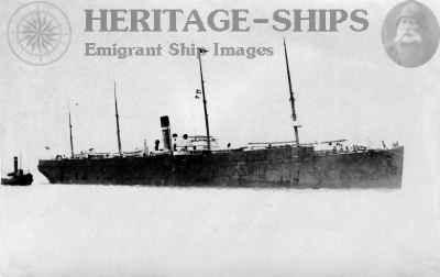 Turcoman, Dominion Line steamship