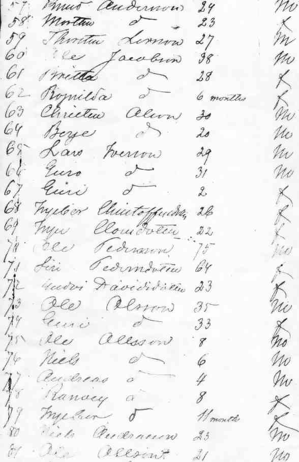 Passenger lists and Emigrant ships from NorwayHeritage