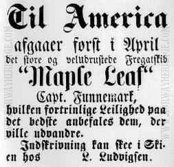 Maple Leaf 1862