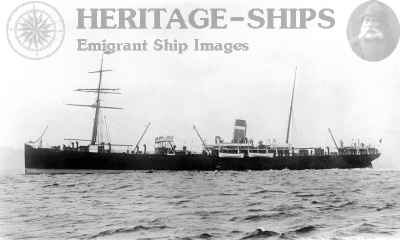 Pomeranian – image 4