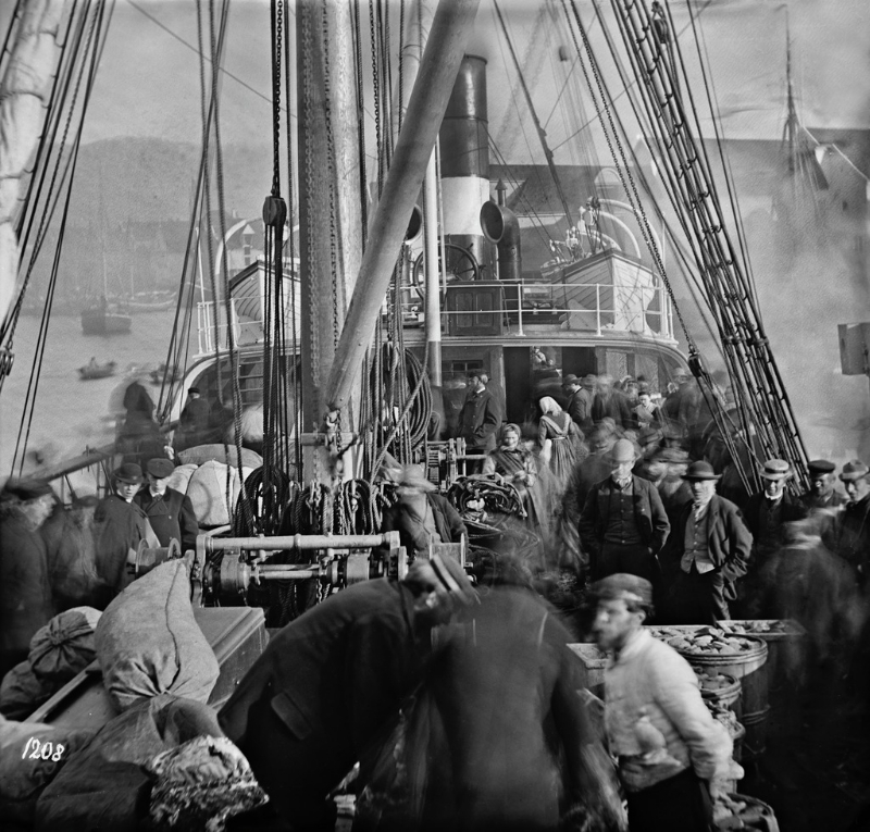 S.S. Hakon Adelsten, the Norwegian American Steamship Company