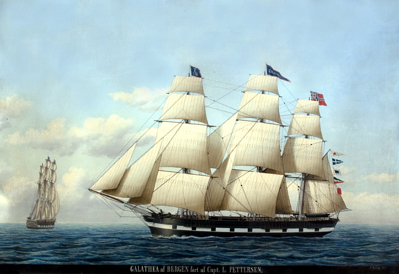 bark Galathea