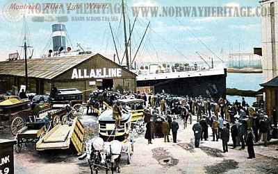 Allan Line wharf Montreal