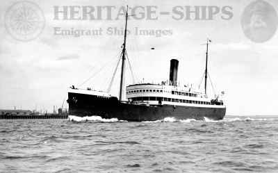 Bayardo - Wilson Line steamship