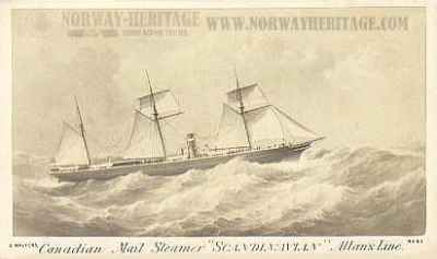 Scandinavian (1)