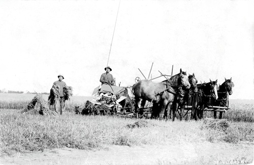 Norwegian Pioneers