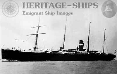 Holland America Line steamship Maasdam (2)